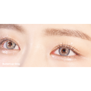  Ann365 1month – Butter Cup Gray椿日灰 月拋 2片裝